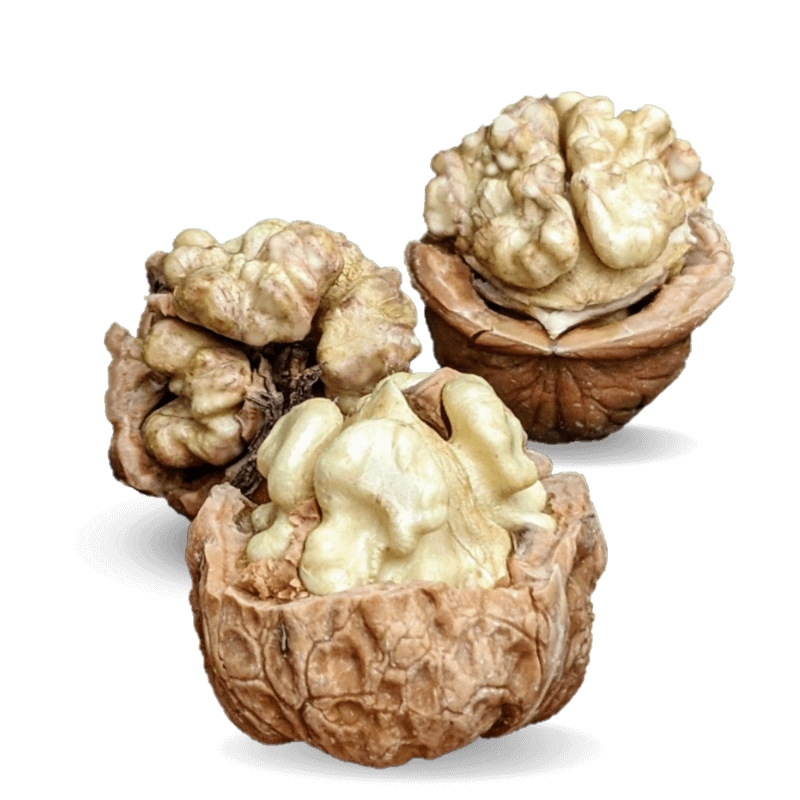 Noix fraiches variété Lara à consommer rapidement