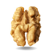 Cerneaux de noix