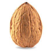 Noix