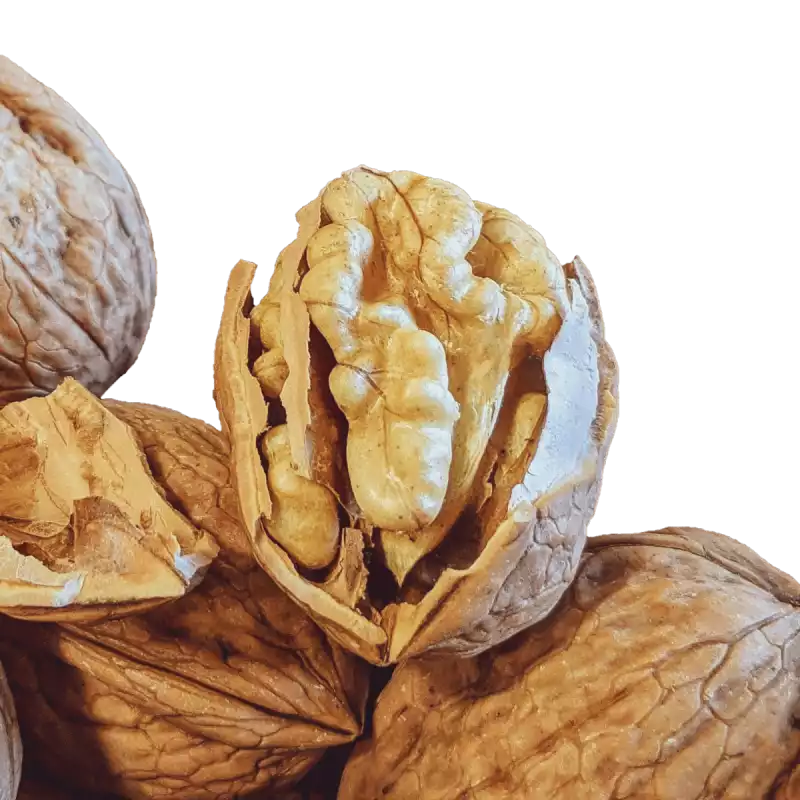 Noix de Grenoble sèches direct producteur.