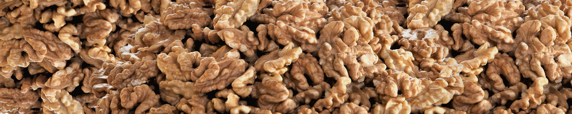 Cerneaux de Noix Entiers | Noix de Grenoble | Qualité Supérieure