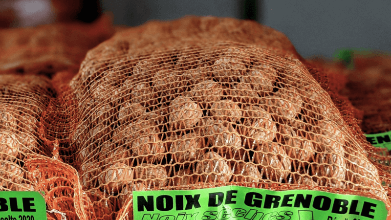 Noix de Grenoble sèches stockées au frais dans une cave