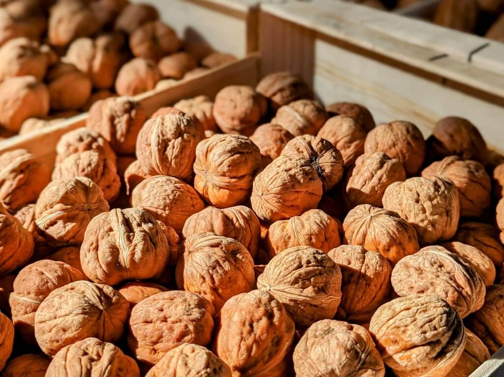 Belles noix fraîches présentée dans des cagettes en bois pour la vente